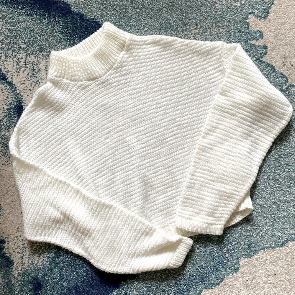 Express Ivory Crop Mockneck Sweater